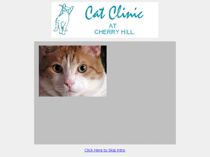 www.catclinicatcherryhill.net