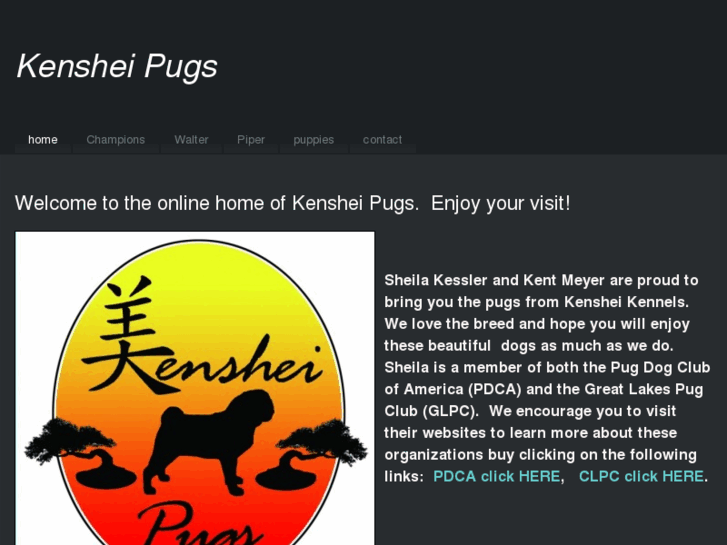 www.kensheipugs.com