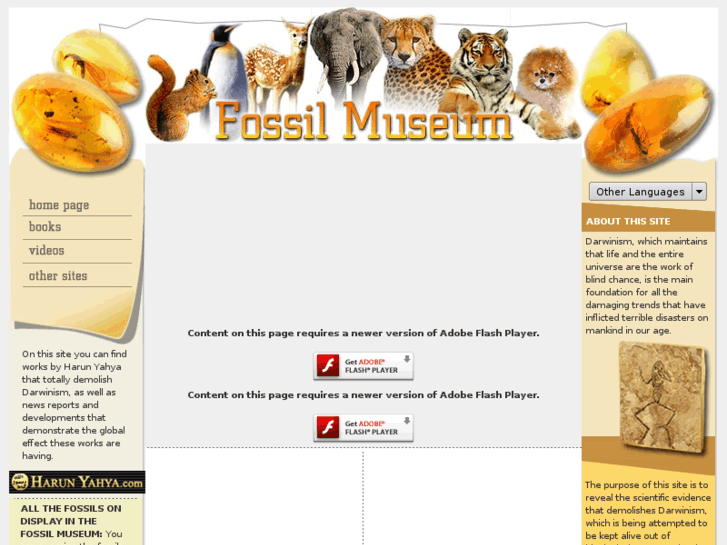 www.museumofcreation.com