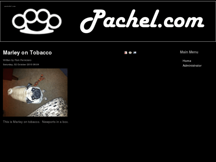 www.pachel247.com