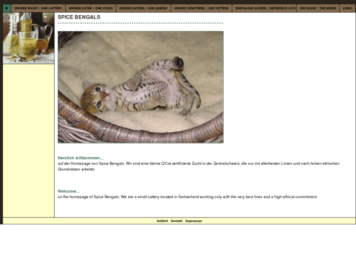 www.spicebengals.com
