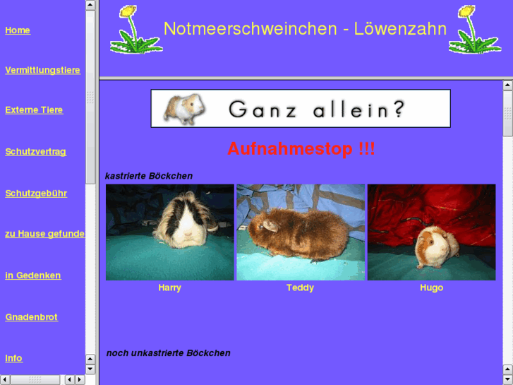 www.xn--notmeerschweinchen-lwenzahn-8yc.com