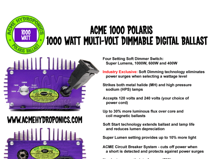www.600wattelectronicballast.com