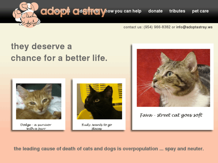 www.adoptastray.ws