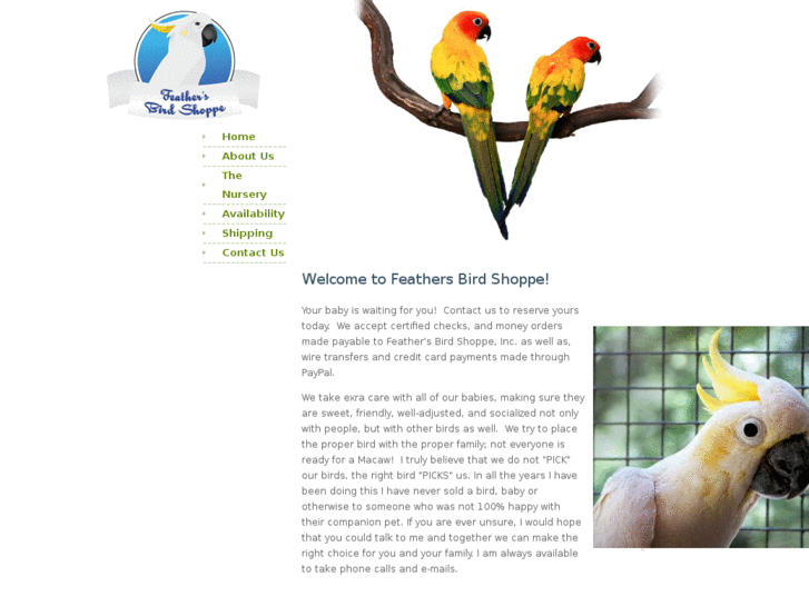 www.feathersbirdshoppe.com