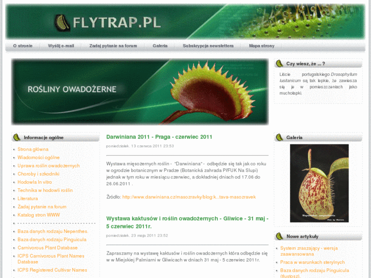 www.flytrap.pl