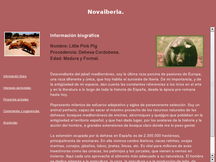 www.novaiberia.com