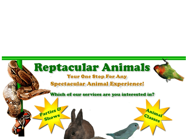 www.reptacularanimals.com