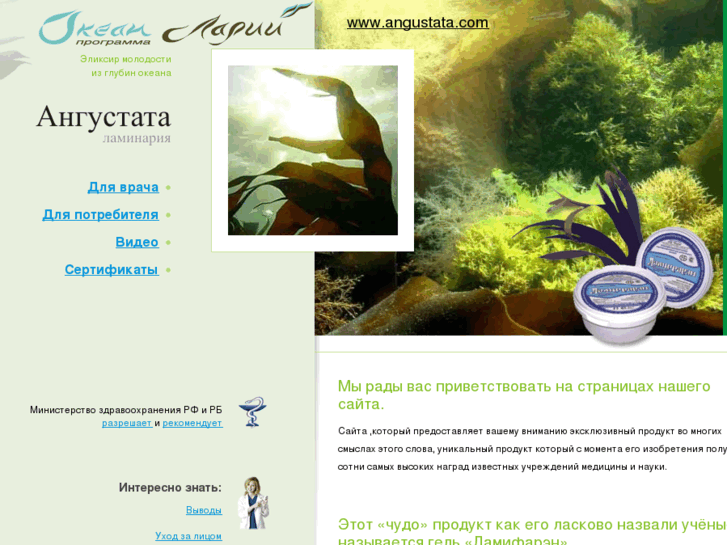 www.angustata.com