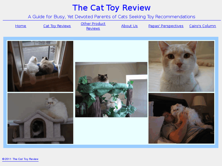 www.bestcattoyreview.com