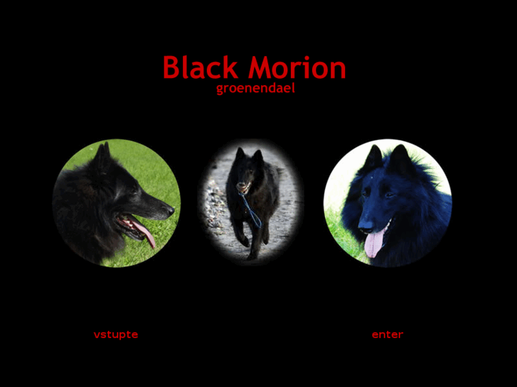 www.blackmorion.com