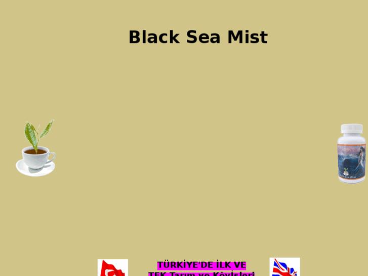 www.blackseamist.com