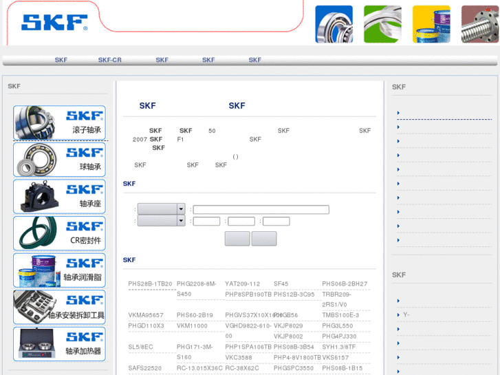 www.chinaskf.cn