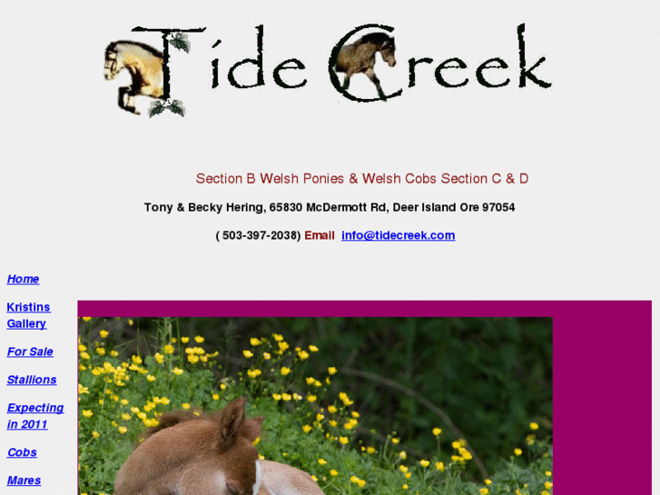 www.tidecreek.com