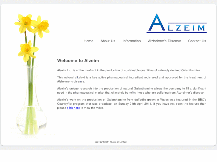 www.alzeim.com