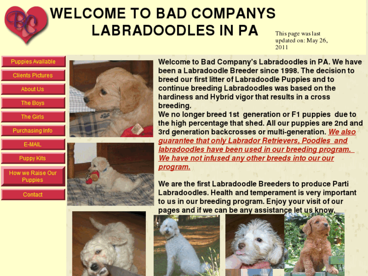 www.bc-labradoodles.com