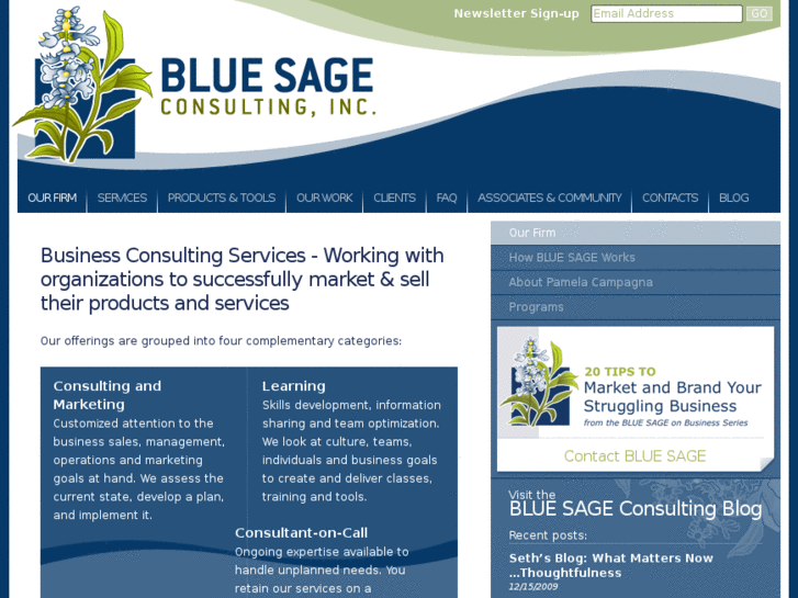 www.bluesageconsulting.com