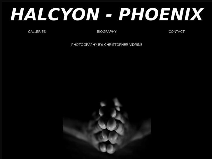 www.halcyon-phoenix.com