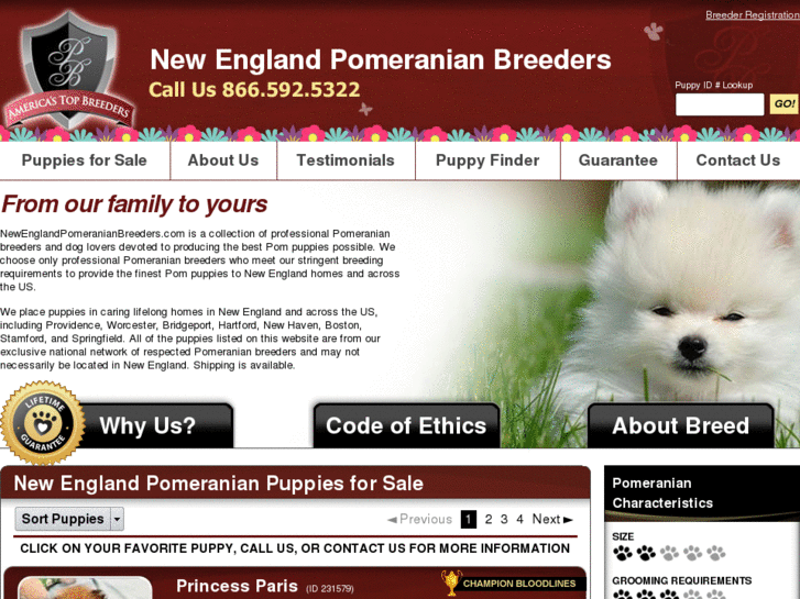 www.newenglandpomeranianbreeders.com