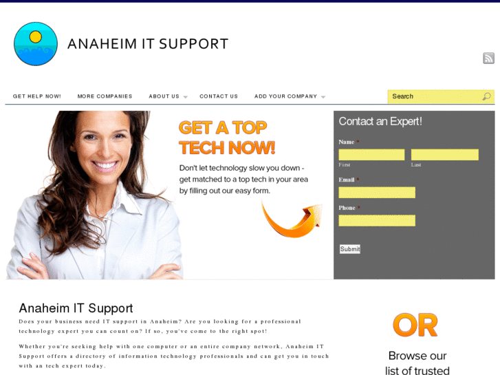 www.anaheimitsupport.com