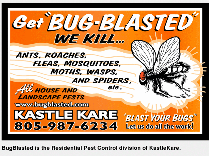 www.bugblasted.com