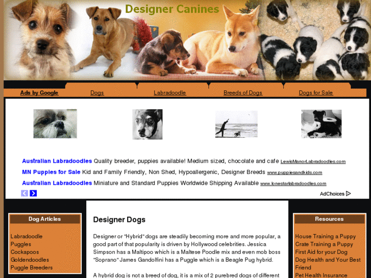 www.designer-canines.com