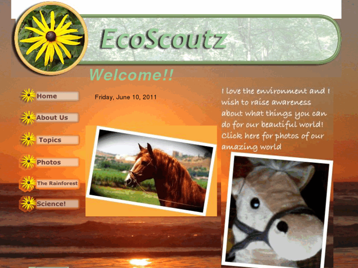 www.ecoscoutz.com