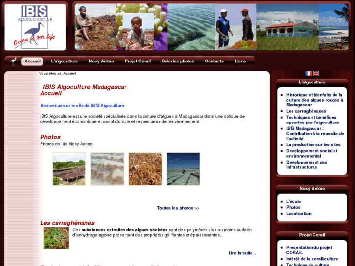 www.ibis-algoculture-madagascar.com