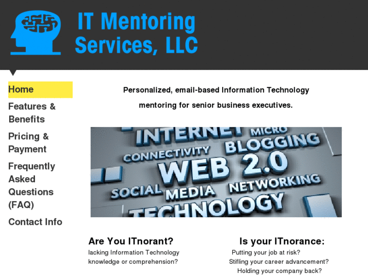 www.itmentoringservices.com