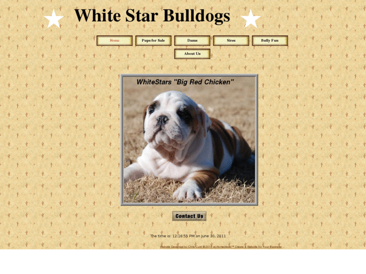 www.whitestarbulldogs.com