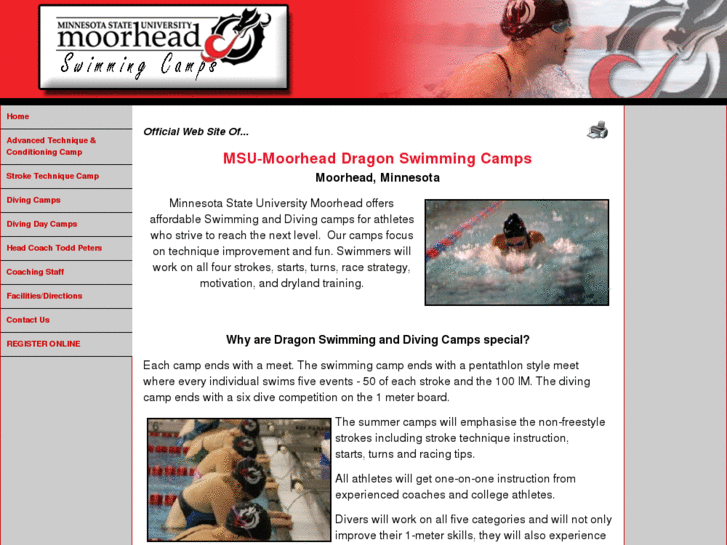 www.dragonswimmingcamps.com