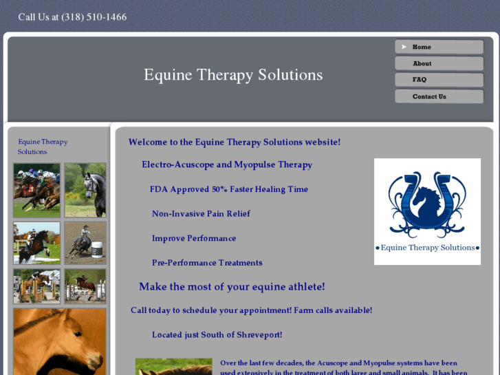 www.equinetherapysolutions.com