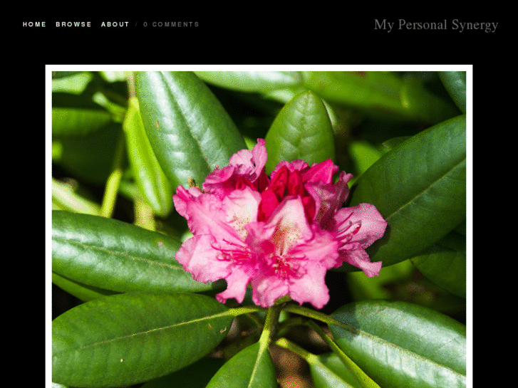 www.personalsynergy.com