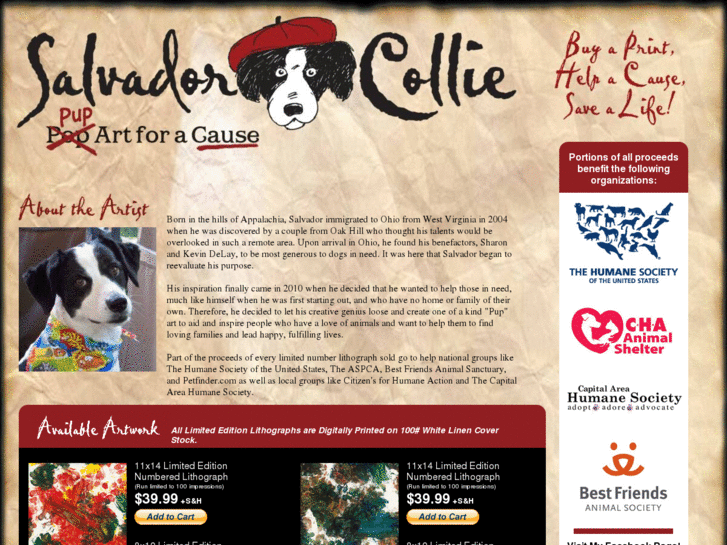 www.salvadorcollie.com