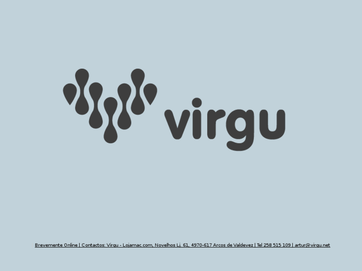 www.virgu.net