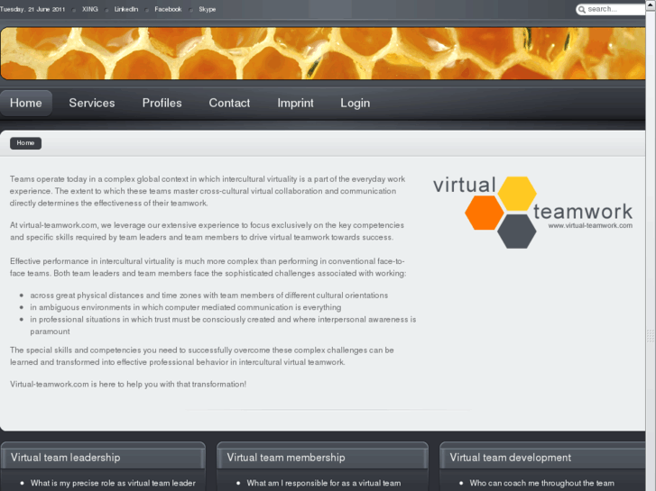 www.virtual-teamwork.com