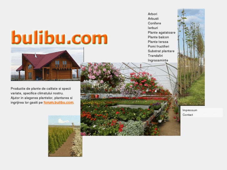 www.bulibu.com