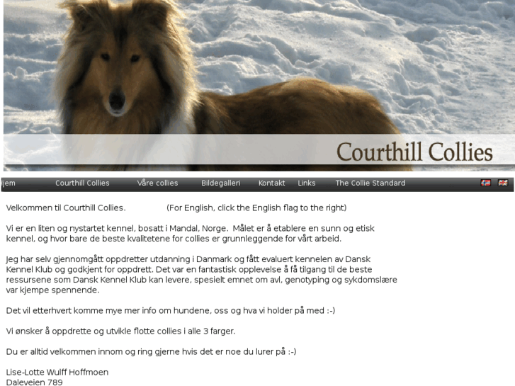 www.courthill-collies.com