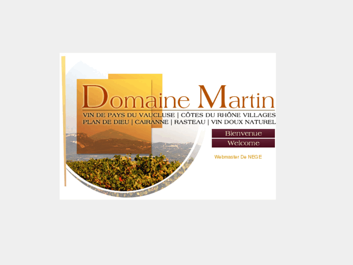 www.domaine-martin.com