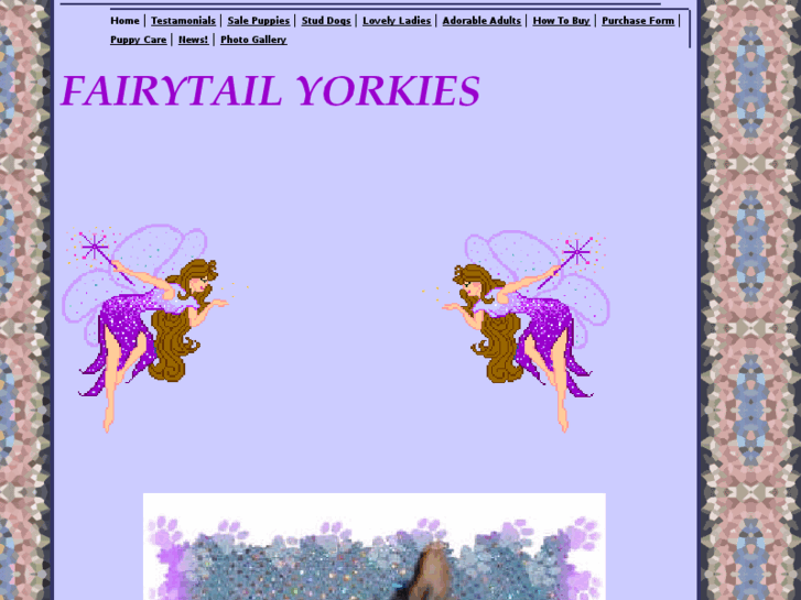 www.fairytailyorkies.com