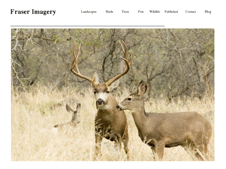 www.fraserimagery.com