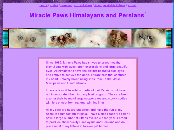 www.miracle-paws.com