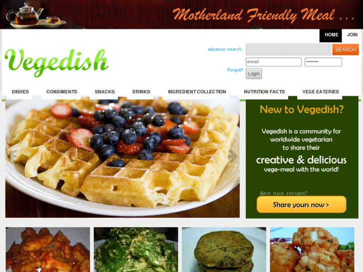 www.vegedish.com