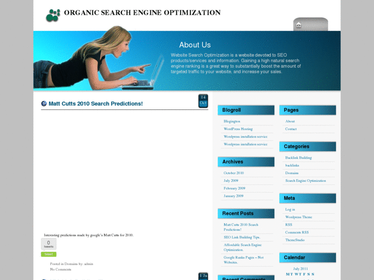 www.website-search-optimization.net