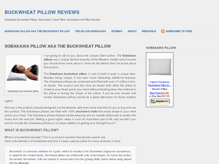 www.buckwheatpillowreviewer.com