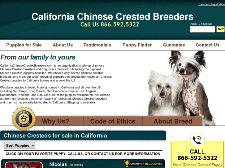 www.californiachinesecrestedbreeders.com