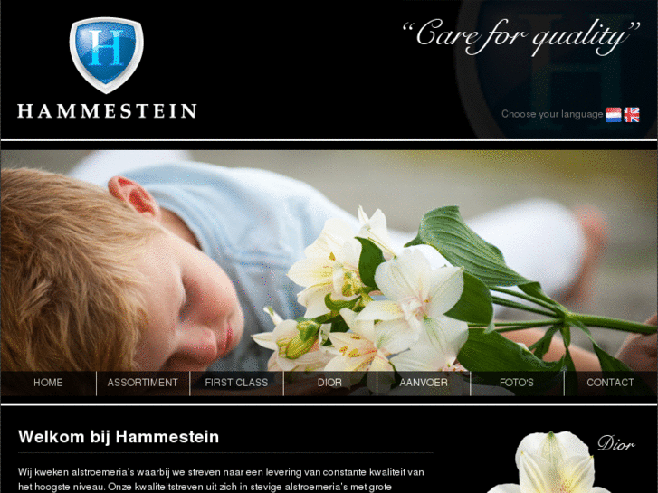 www.hammestein.com