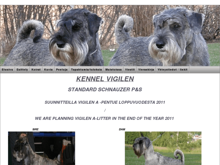 www.kennelvigilen.com