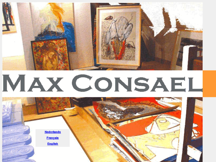 www.maxconsael.com