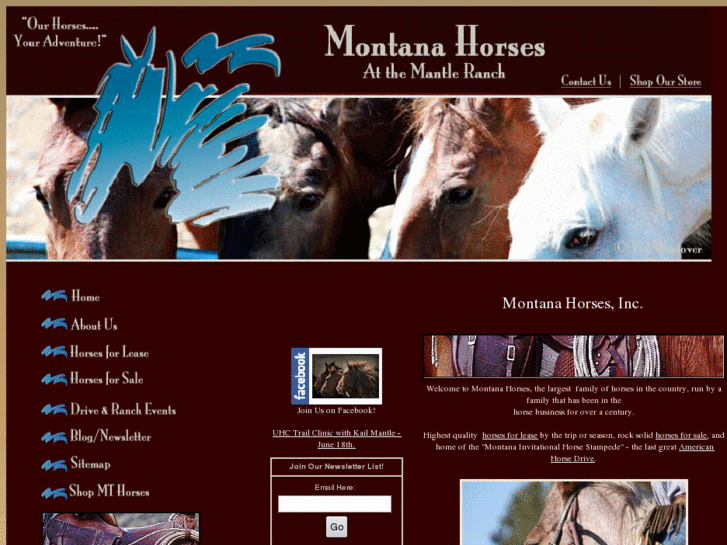 www.montanahorsedrive.com